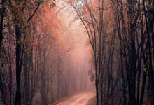 金年会官方-辽宁男篮剑气纵横，新赛季誓破九重天！