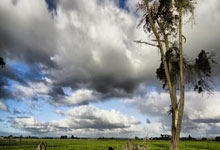 sports jnh-紫金怒涛！湖人五连斩国王书写逆袭序章，王朝齿轮再度轰鸣