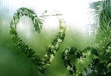 JNH体育-摩洛哥瓦赫达防线稳固，力拼鹿岛鹿角全力拿分