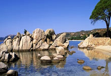 jinnianhui-鹿岛鹿角锋线组合默契，世俱杯争冠实力凸显