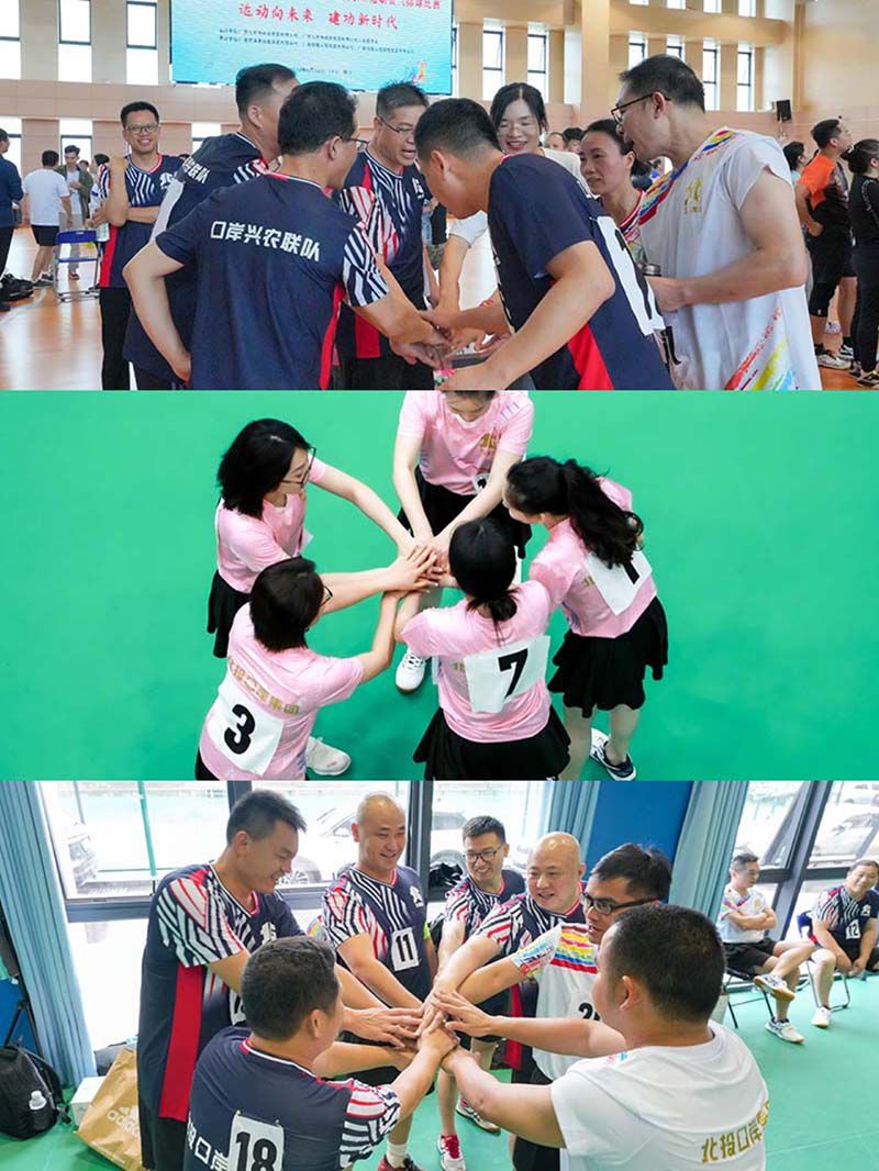 球员们在场上尽展风采，引来无数观众欢呼