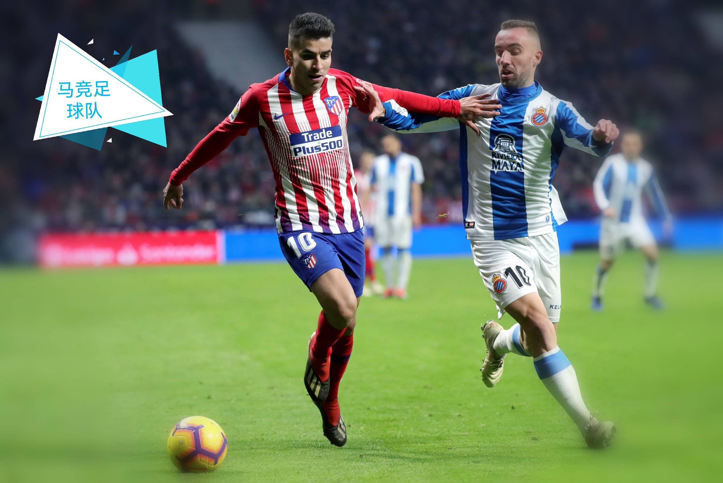 深度解读：浦和红钻世俱杯战术演练的简单介绍