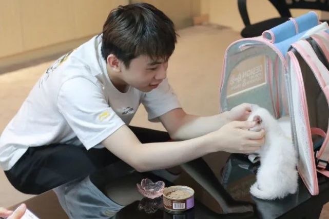 TSM险胜DK，Doinb操刀奇招英雄翻盘全球总决赛3:0（深圳）