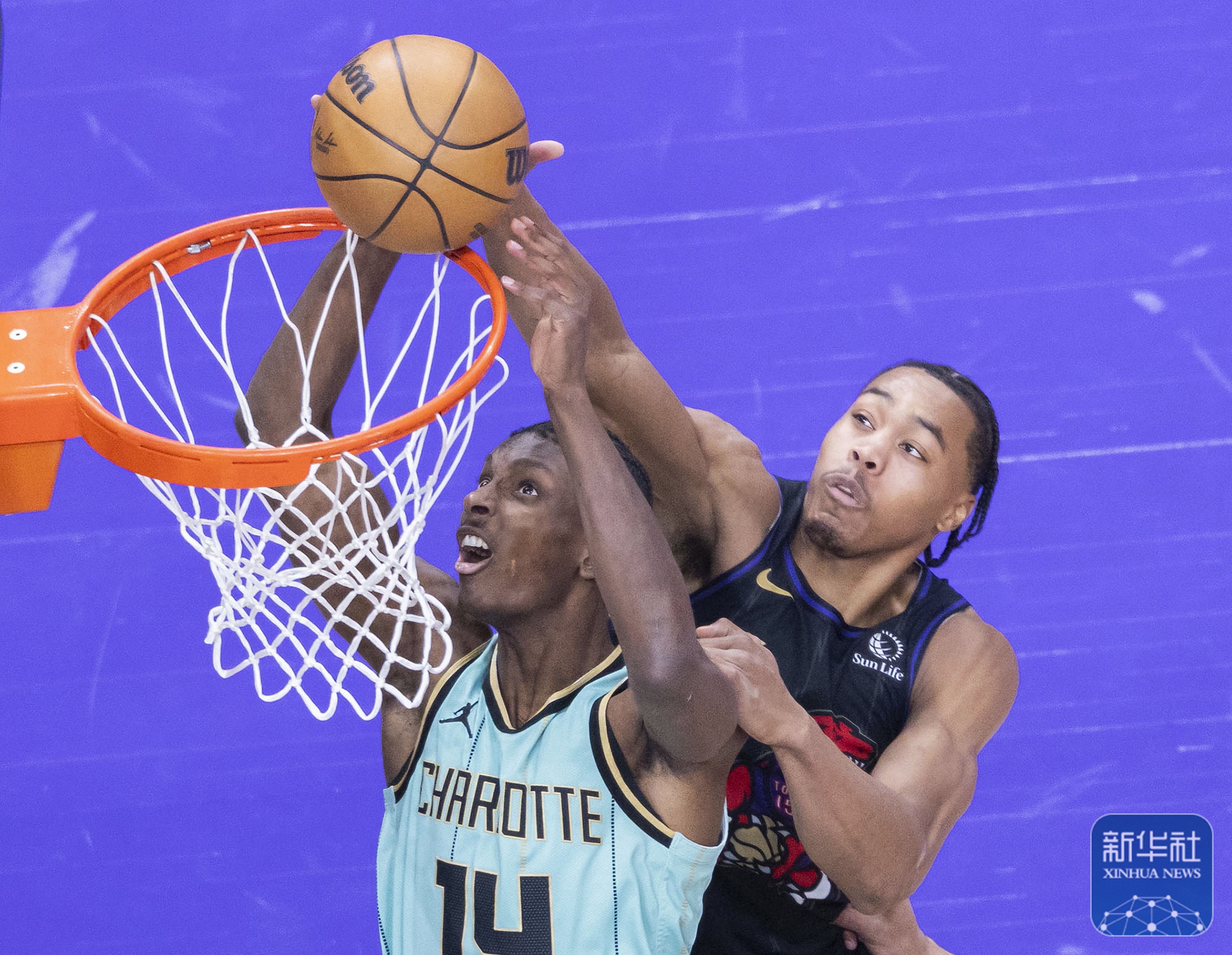 金年会真人-黄蜂战胜篮网，沃克表现抢眼