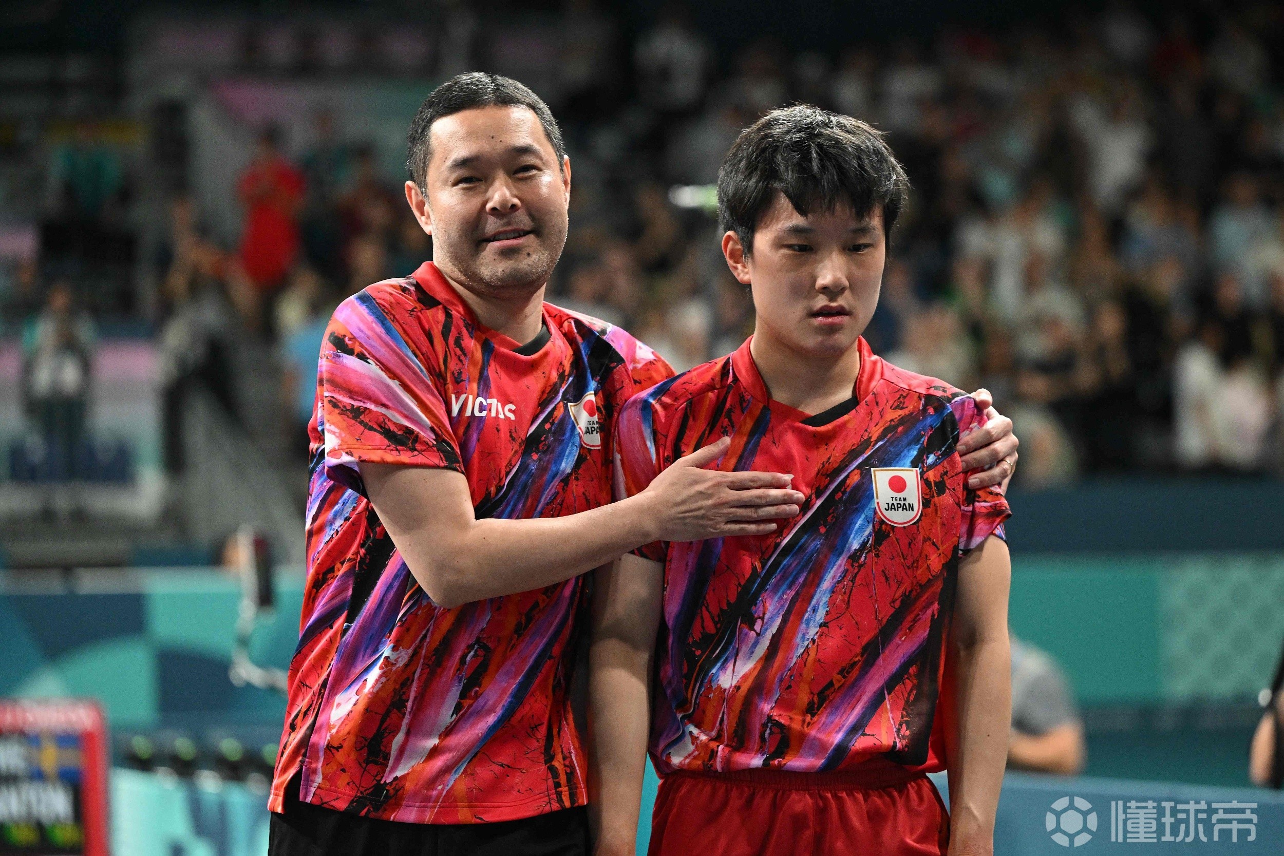 金年会APP-关于日本队翻盘波兰队，张本智和统治全场的信息