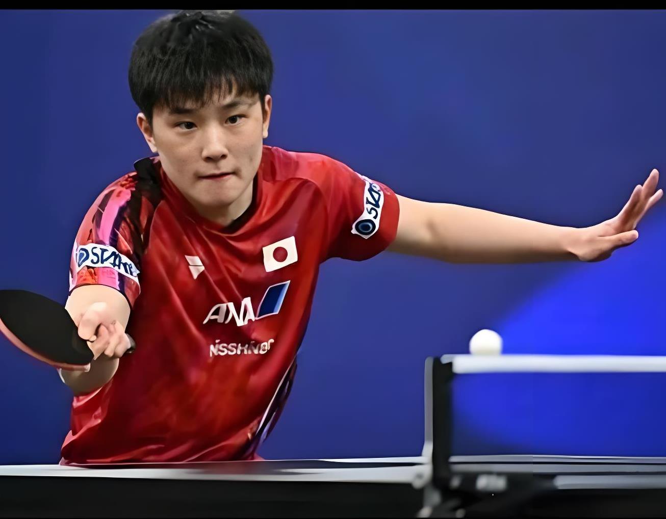 关于日本队翻盘波兰队,张本智和统治全场的信息 关于日本队翻盘波兰队,张本智和统治全场的信息