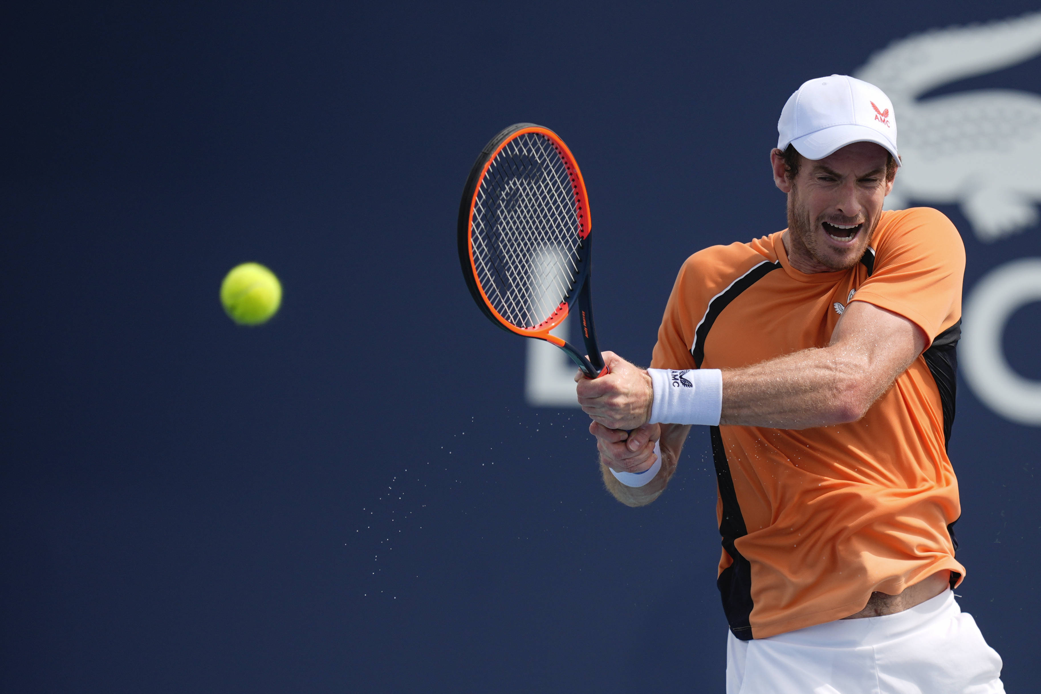 ATP总决赛力克年终总决赛，穆雷惊艳四座