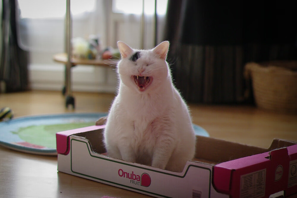 北京队火力全开压制掘金，莫兰特焦点战闪耀证身价