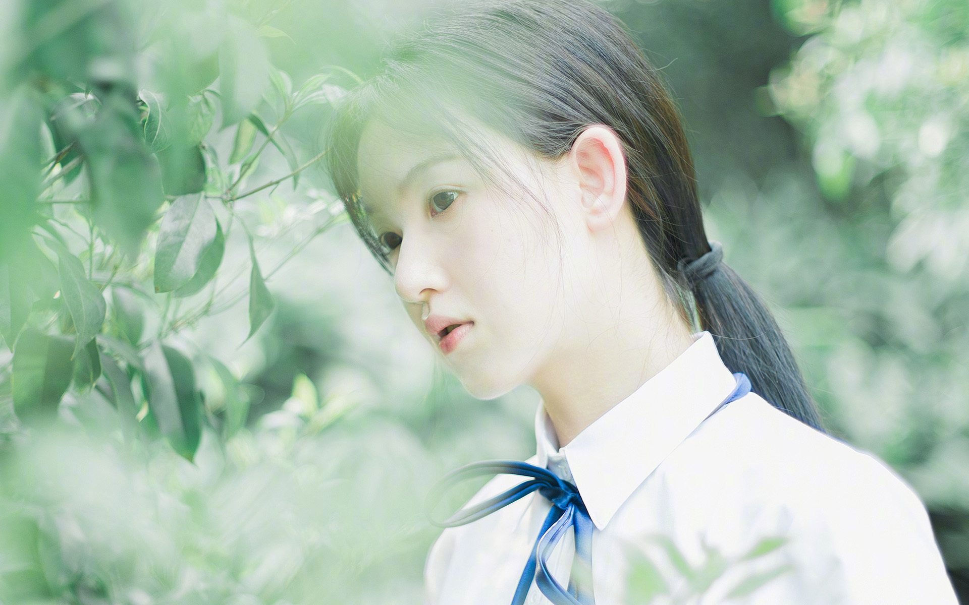 双城记，国家德比的硝烟与金州勇士的韵律—体育叙事中的永恒对决与优雅进化