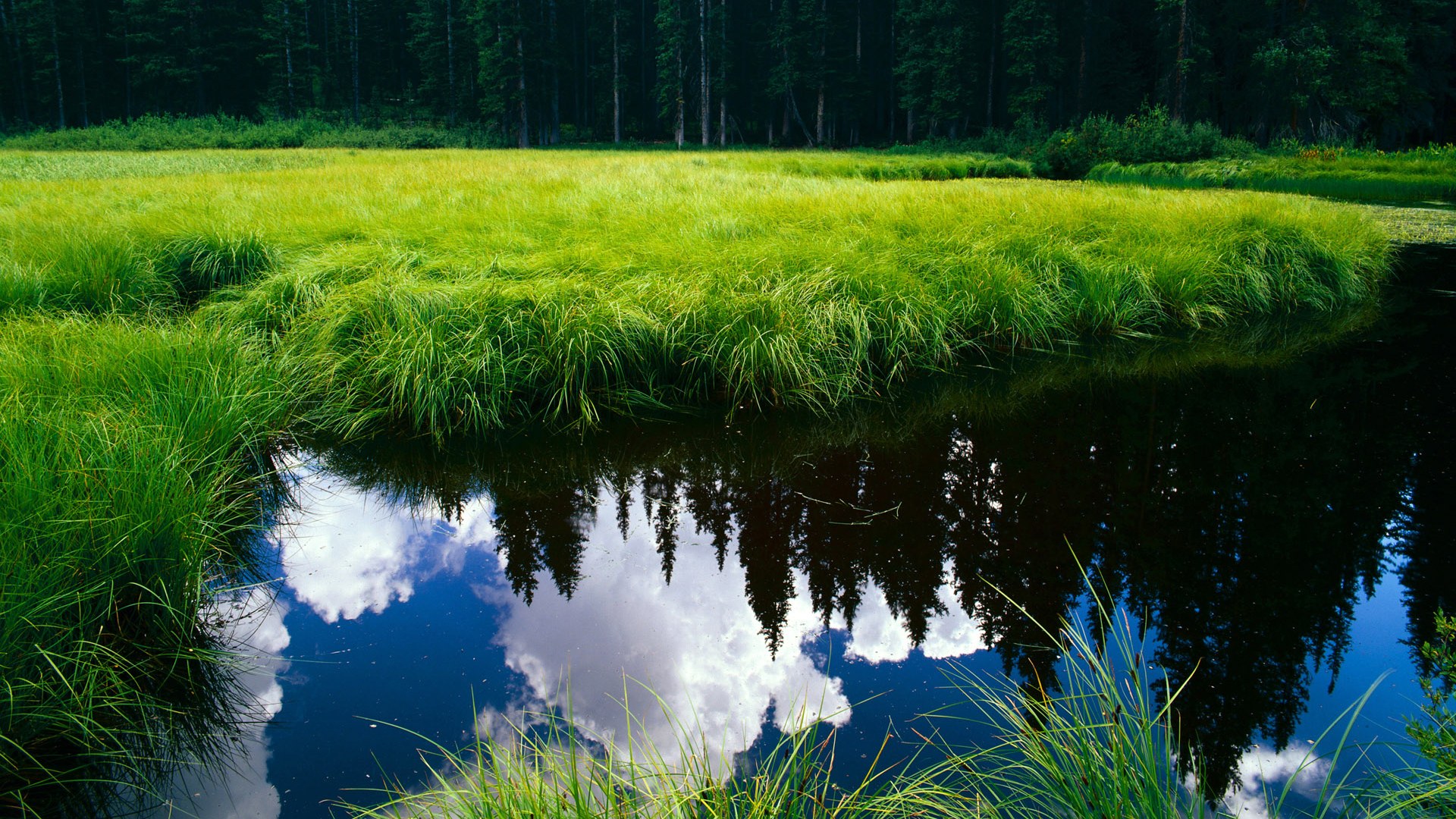 铁血毕尔巴鄂碾压爱尔兰防线，楚阿梅尼主宰全场毫无争议