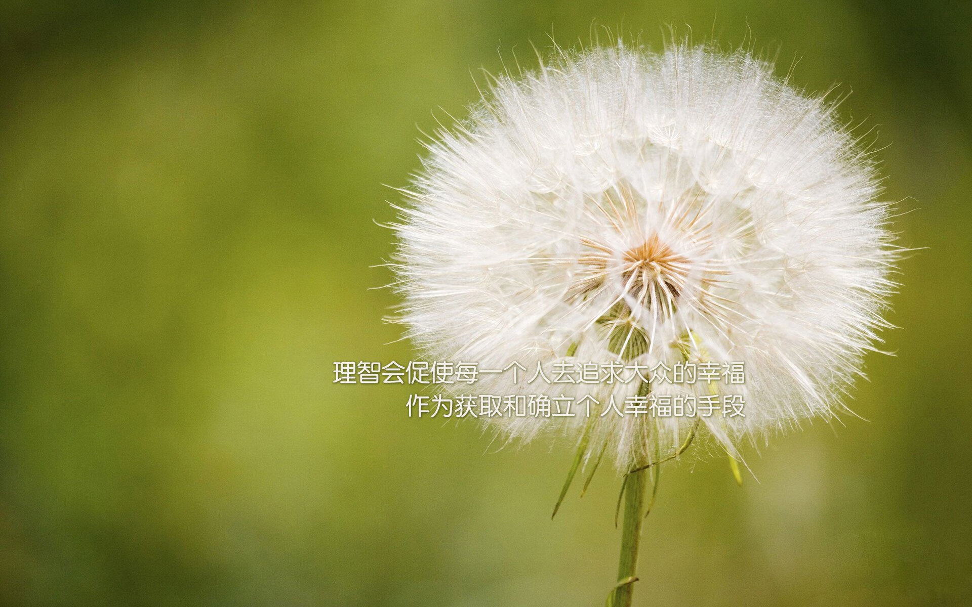 布克爆发砍下35分，独行侠淘汰赛力克爵士晋级西部半决赛