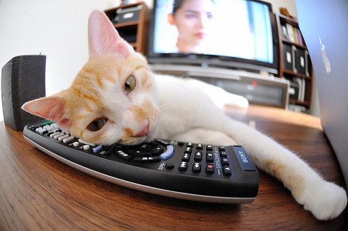 奥斯梅恩点燃欧洲，哥伦比亚闪电战击碎波兰—个体闪耀与团队交响的足球启示