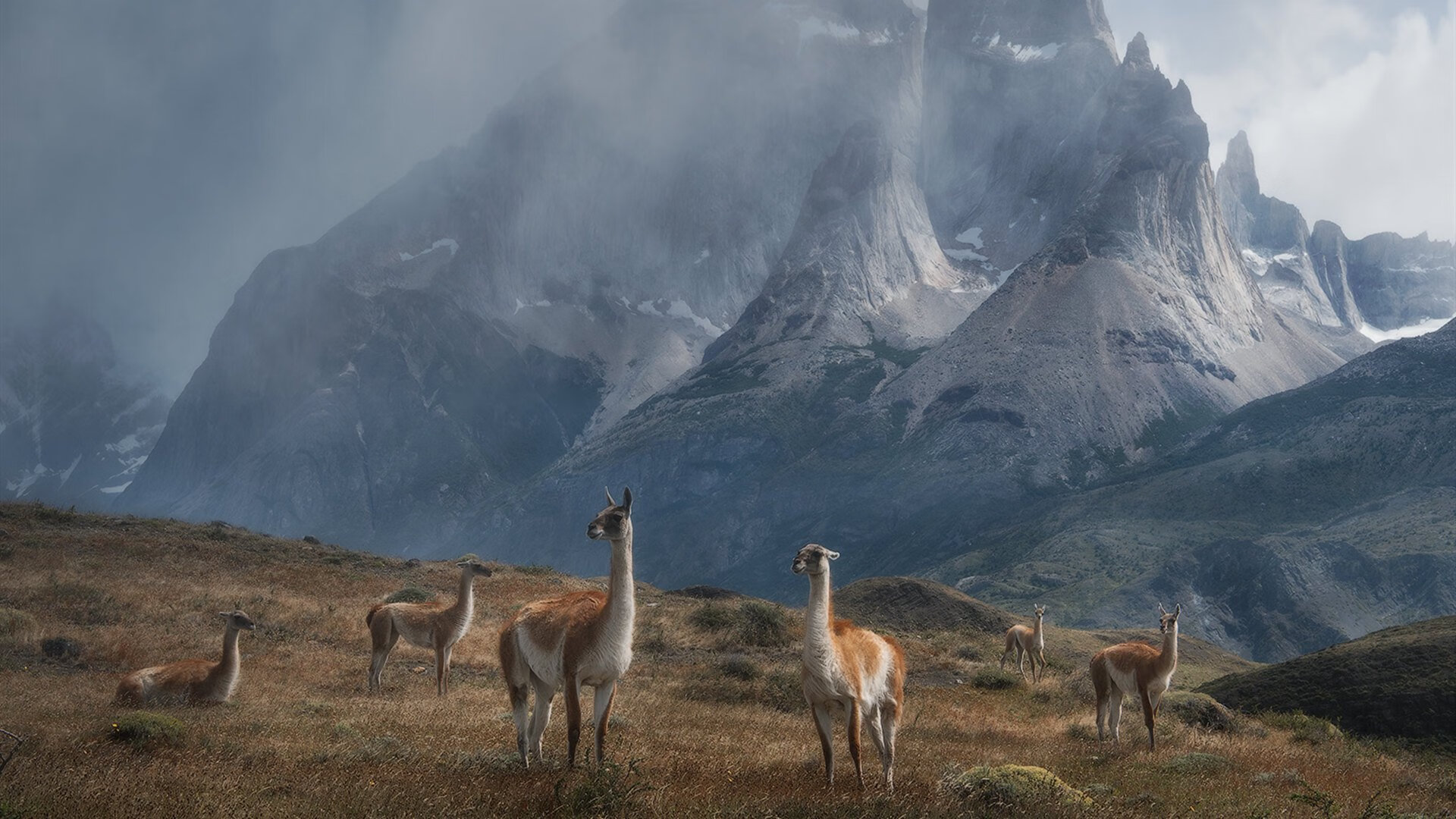 北非德比烽火再燃，布鲁诺冠军级表现铸就摩洛哥新王座