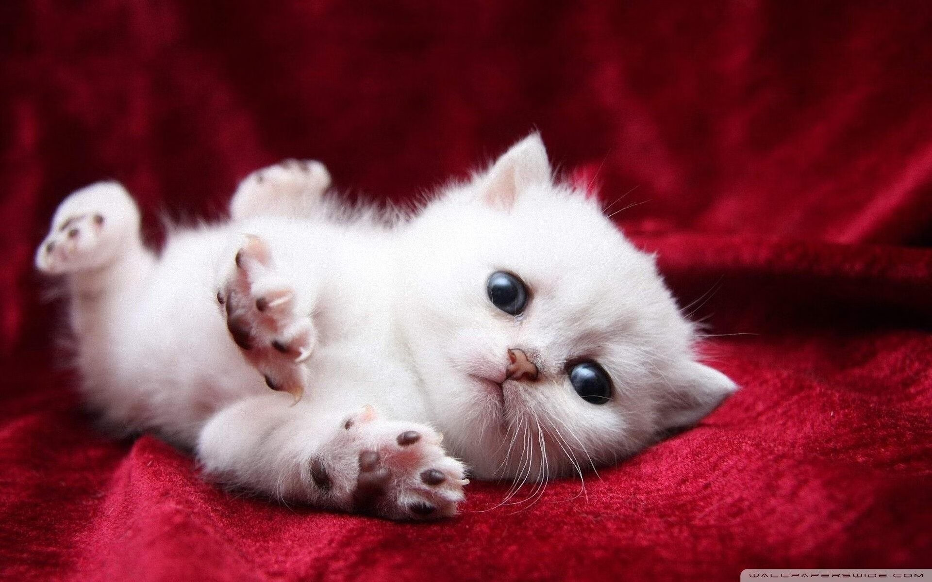 双面篮球，当字母哥接管比赛之时，马刺正用团队完成一场狂胜