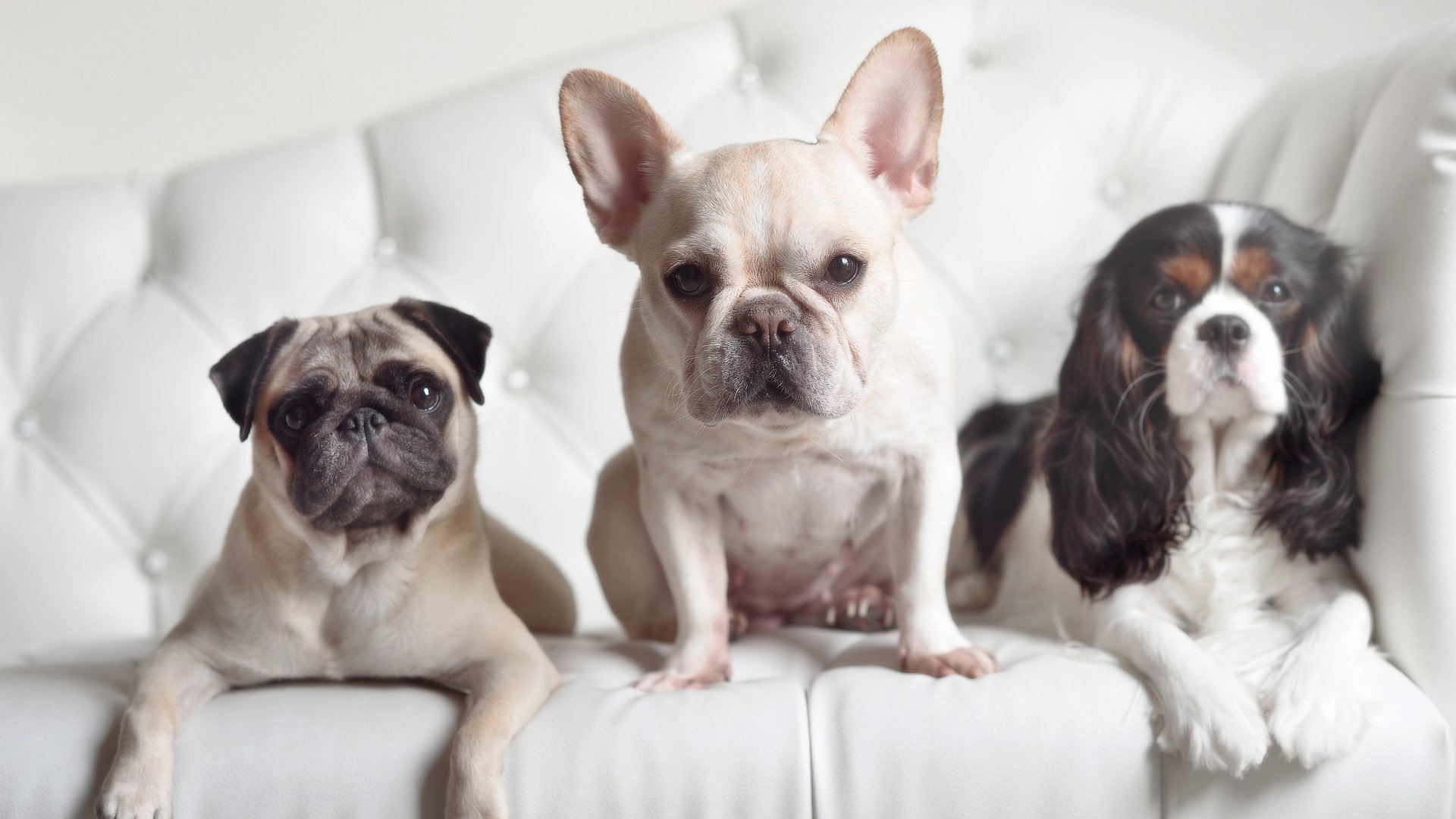 希腊决胜局带走瑞典，拉亚成为关键先生