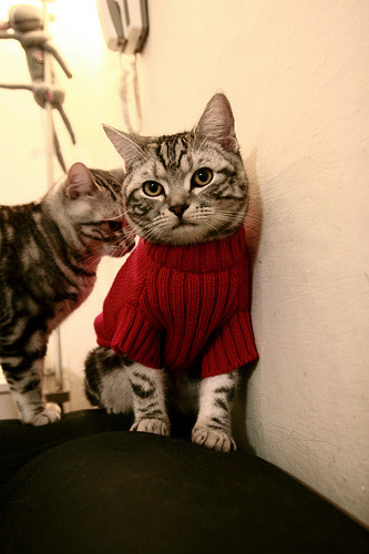 金年会真人-绝境铸英雄，当卡塔尔封锁新西兰，凯塞多完成自我救赎