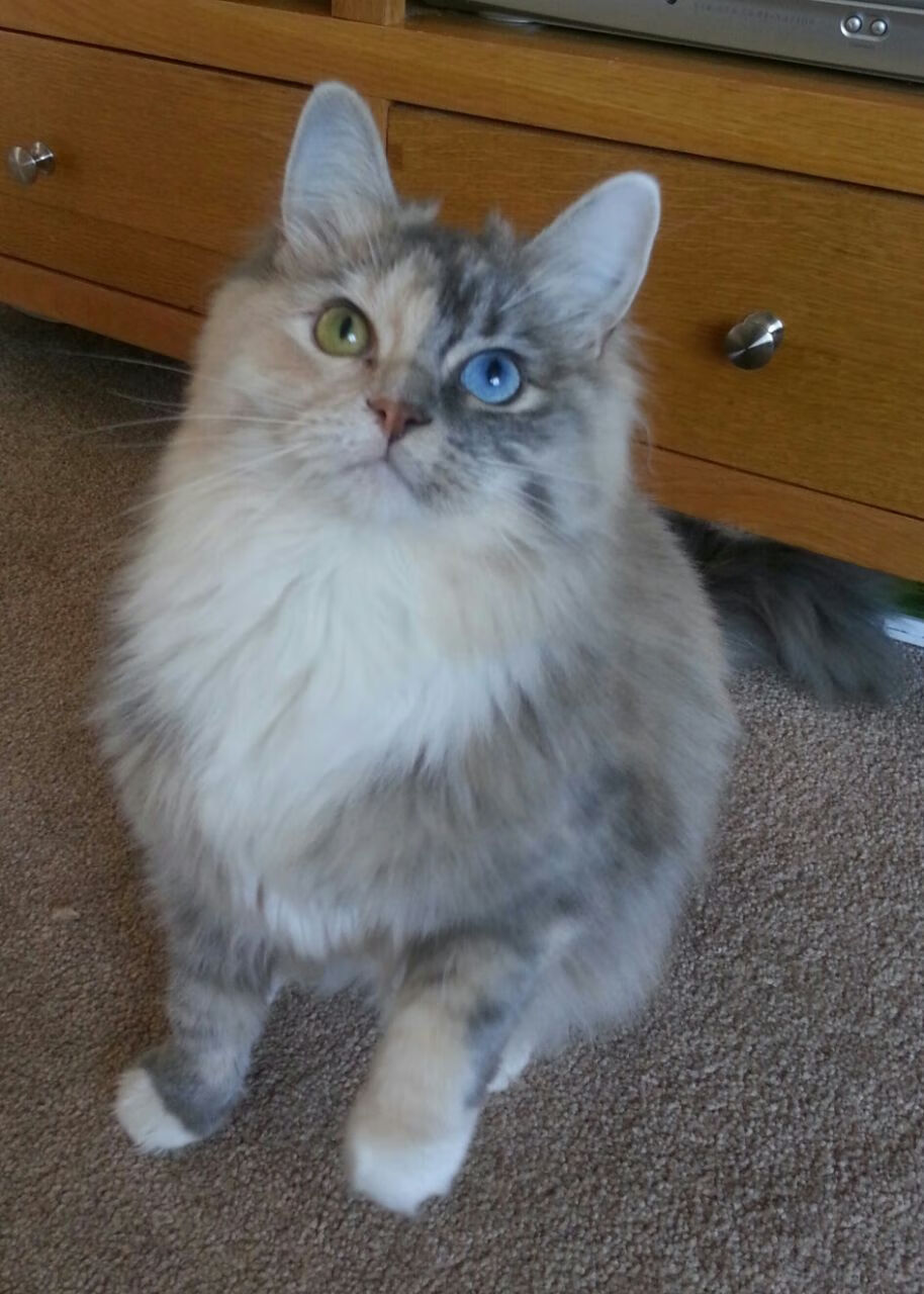 逆转雄鹿！贝恩末节19分诠释关键先生，他用钢铁意志浇筑胜利