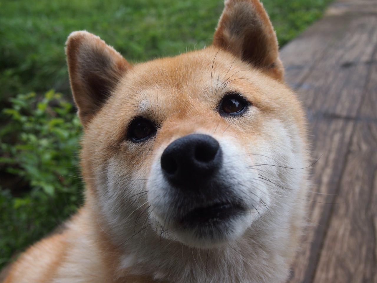 当黄土高原遇到明尼苏达冰雪，一场虚构对决中的真实王者恩比德